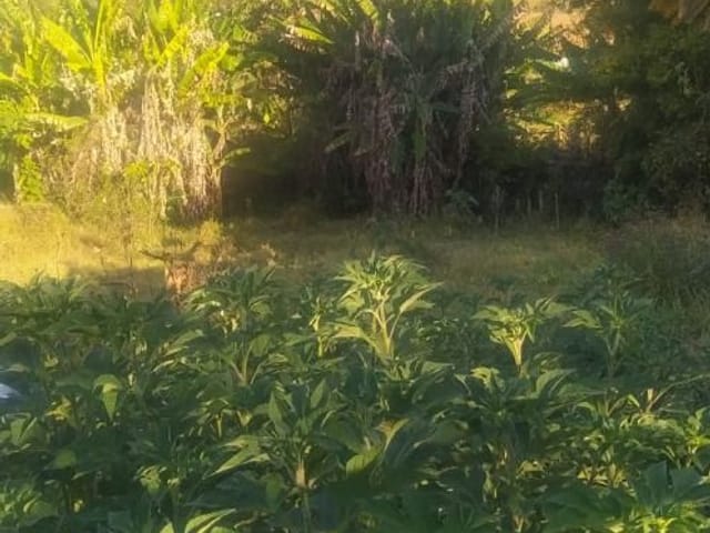 Terreno com 4100m², à venda, no bairro Salto em Extrema