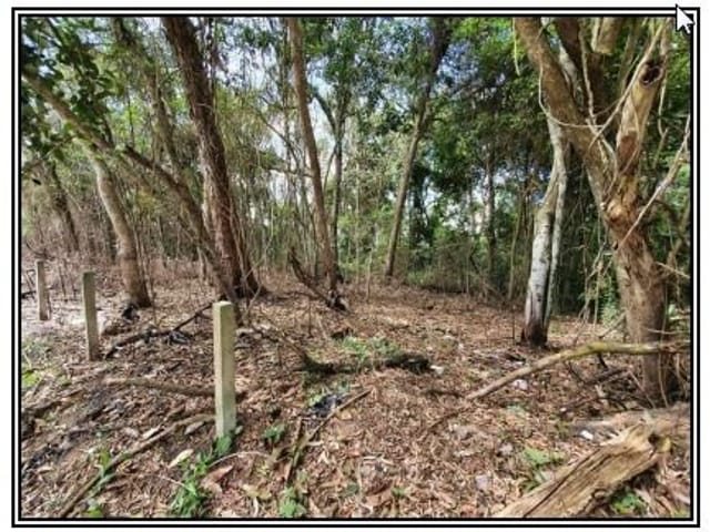 Terreno com 17197m², à venda, no bairro Jardim dos Pereiras (Caucaia do Alto) em Cotia