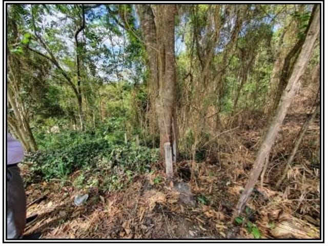 Terreno com 17197m², à venda, no bairro Jardim dos Pereiras (Caucaia do Alto) em Cotia