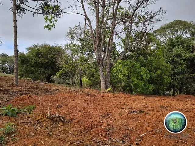 Terreno com 1000m², à venda, no bairro Ortizes em Piedade