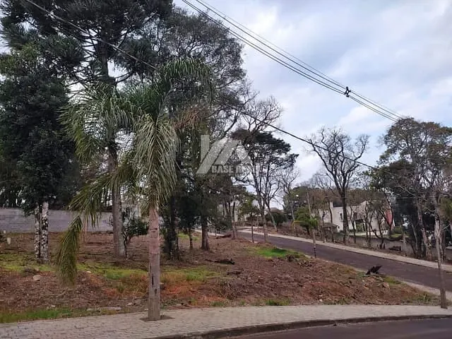 Terreno com 456m², à venda, no bairro Trianon em Guarapuava