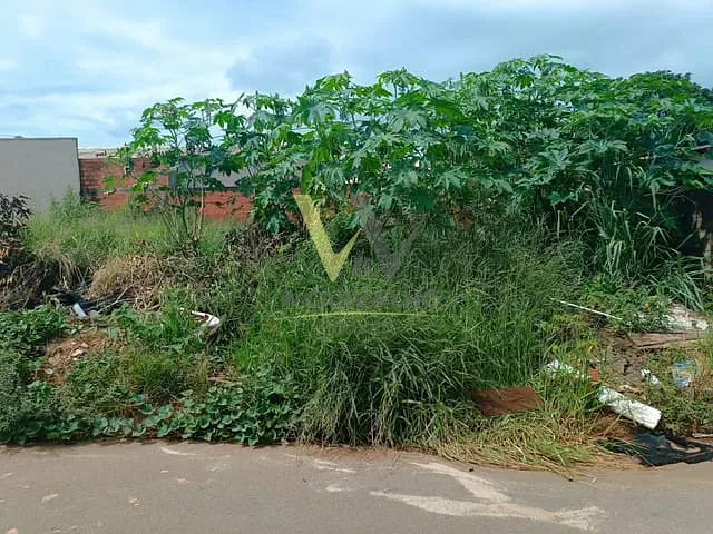 Terreno com 300m² 3 quartos e 1 banheiro, à venda, no bairro Jardim Primavera 2ª Etapa em Anápolis
