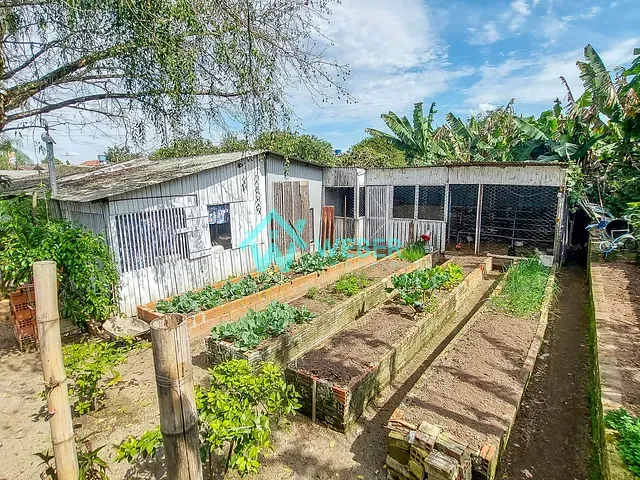 Casa com 1440m² 3 quartos e 2 banheiros, à venda, no bairro Rondônia em Novo Hamburgo