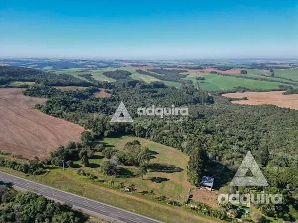 Terreno, 10 hectares - Foto 6
