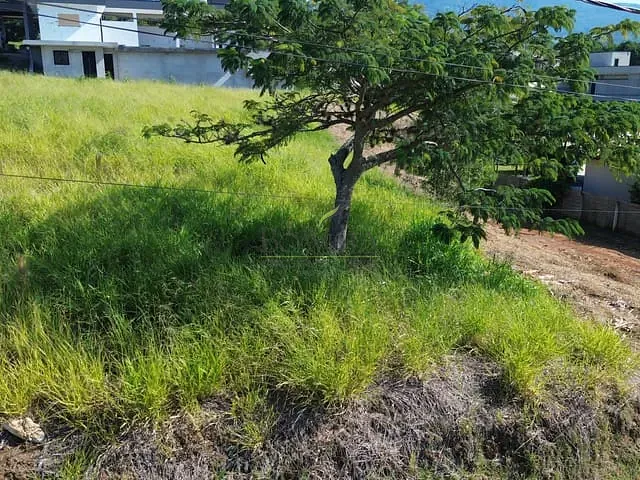 Terreno com 1000m², à venda, no bairro Vargem em Joanópolis