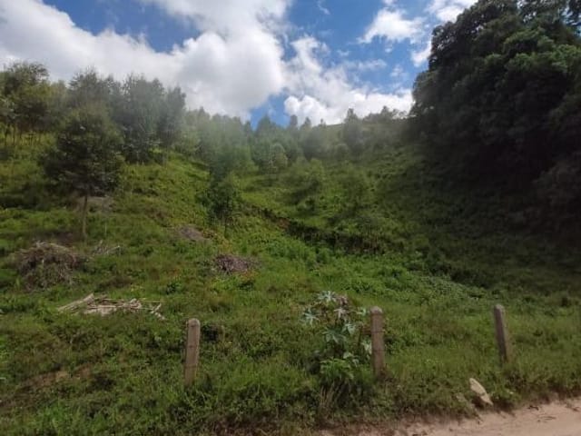 Foto do Terreno - Terreno à venda 24000M², Delfim, Delfim Moreira - MG | MOHALLEM e LOPES CORRETAGEM E ADMINISTRACAO DE IMOVEIS LTDA