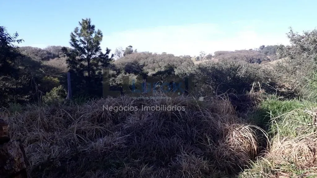 Terreno, 2000 m² - Foto 8