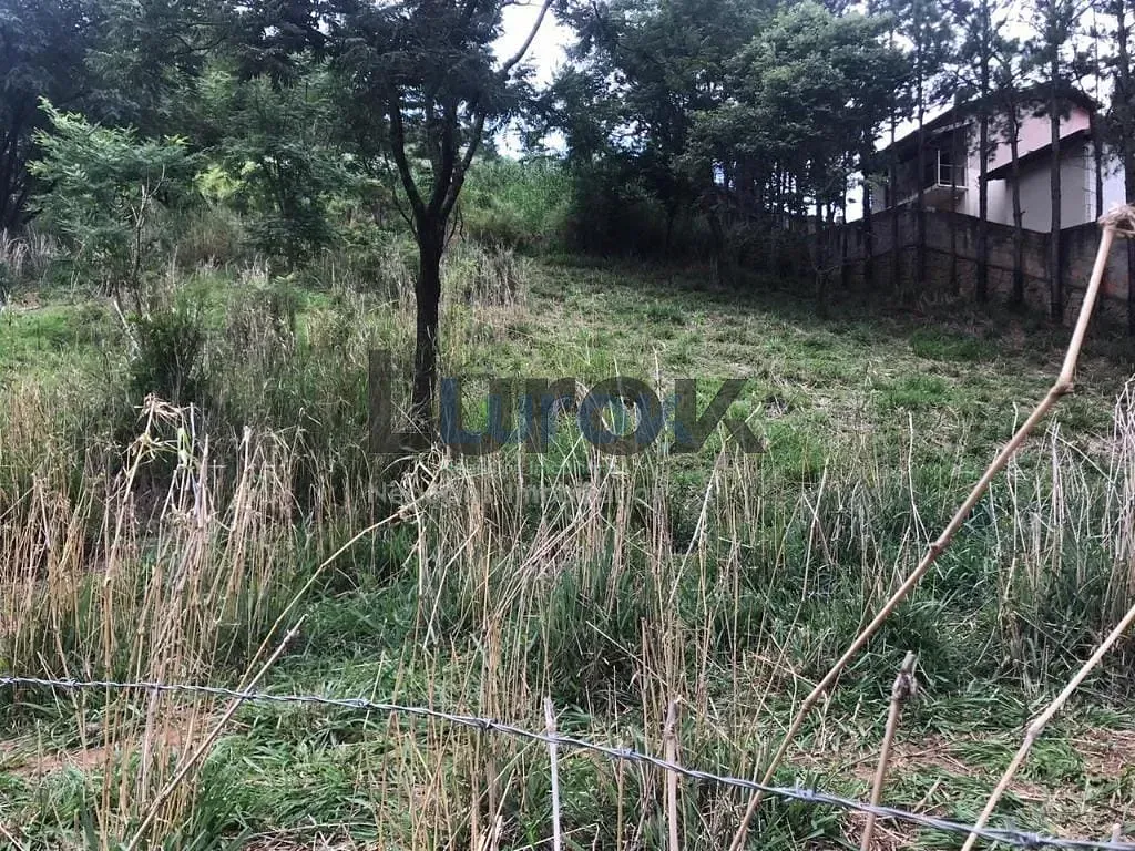 Terreno, 2000 m² - Foto 6