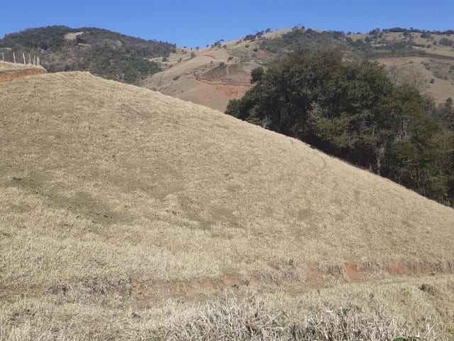 Foto do anúncio: Terreno à Venda em Goiabal, Itajubá MG