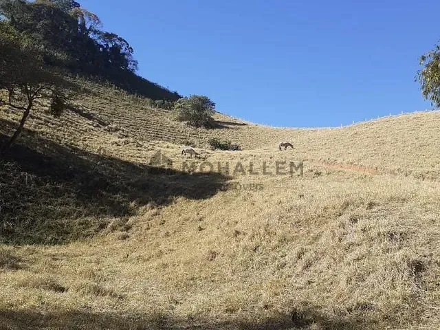 Terreno com 32000m², à venda, no bairro Goiabal em Itajubá