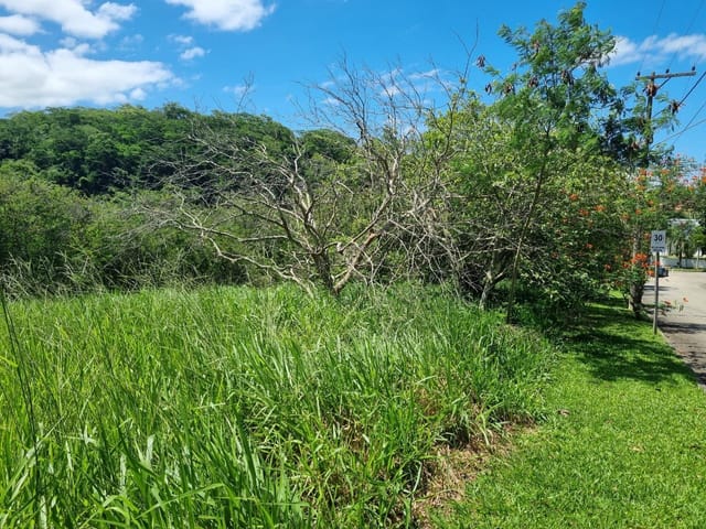 Terreno com 1030m², à venda, no bairro Nova Cidade em Macaé