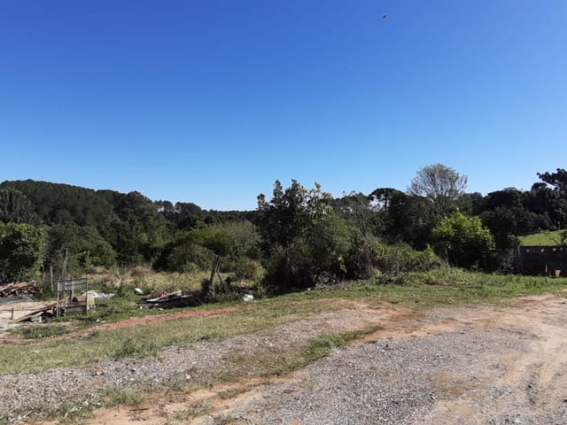 Terreno com 711m², à venda, no bairro Boa Vista em Ponta Grossa