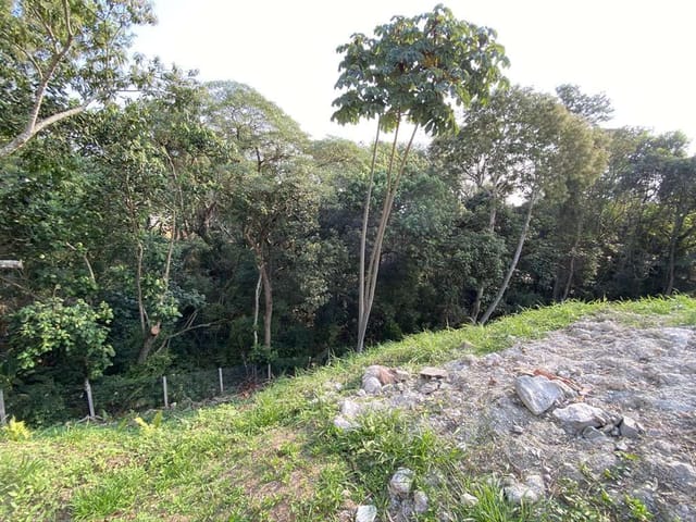 Terreno com 622m², à venda, no bairro Chácara Moinho Velho em Carapicuíba