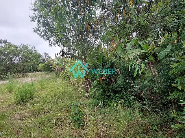 Terreno com 2030m², à venda, no bairro Alpes do Vale em Novo Hamburgo