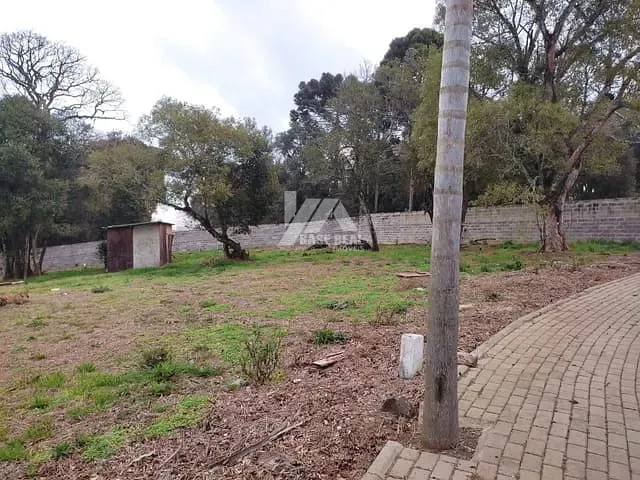 Terreno com 564m², à venda, no bairro Trianon em Guarapuava