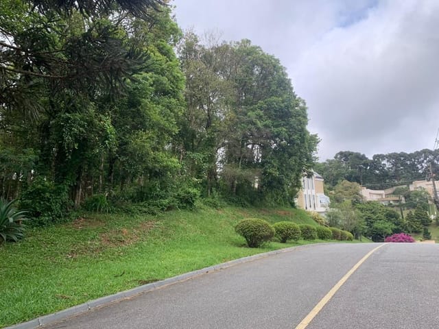 Foto do Terreno - Terreno à venda, 1356 m² no bairro São João em Curitiba/PR | Padrone Imóveis