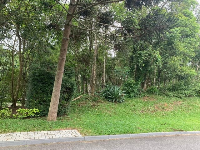 Foto do Terreno - Terreno à venda, 1356 m² no bairro São João em Curitiba/PR | Padrone Imóveis