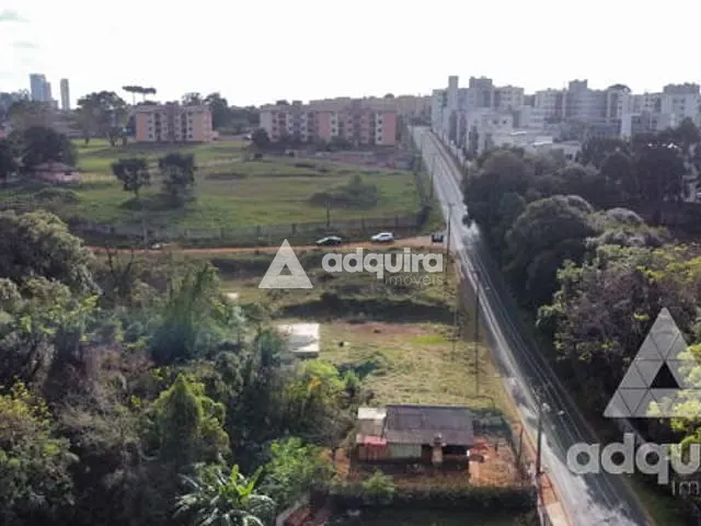 Terreno com 4545m², à venda, no bairro Colônia Dona Luíza em Ponta Grossa