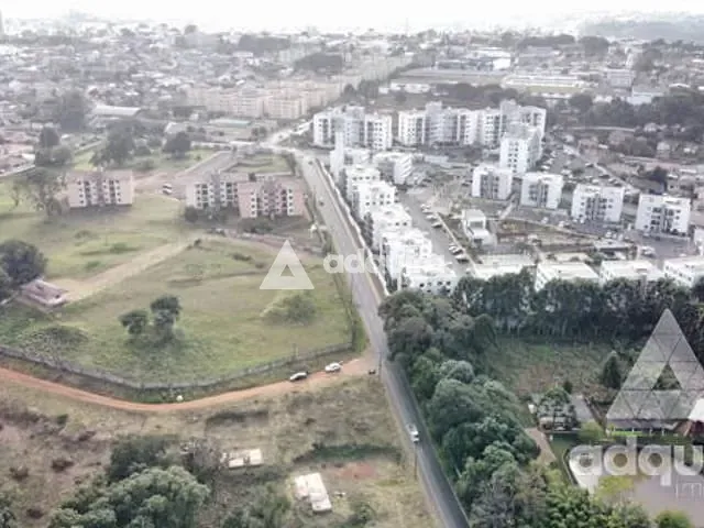 Terreno com 4545m², à venda, no bairro Colônia Dona Luíza em Ponta Grossa