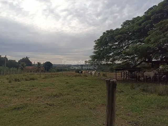 Terreno com 46420m², à venda, no bairro Vargeão em Jaguariúna