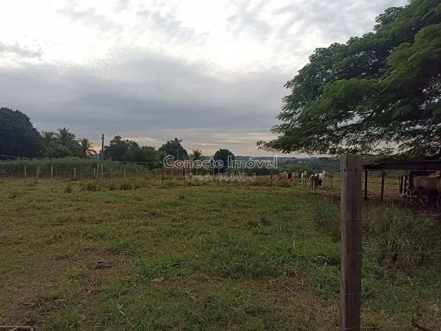 Terreno com 46420m², à venda, no bairro Vargeão em Jaguariúna