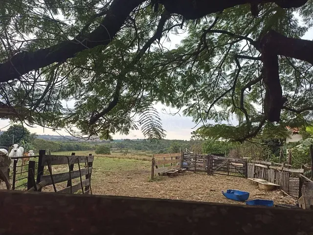 Terreno com 46420m², à venda, no bairro Vargeão em Jaguariúna