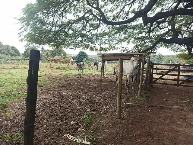 Terreno com 46420m², à venda, no bairro Vargeão em Jaguariúna