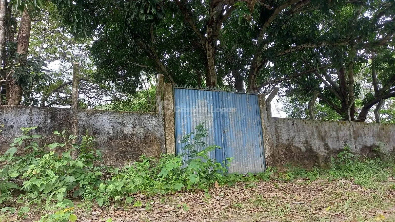 Terreno, 2800 m² - Foto 1