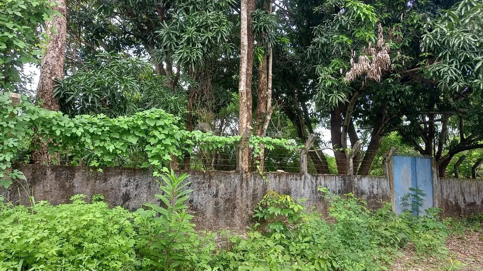 Terreno, 2800 m² - Foto 6
