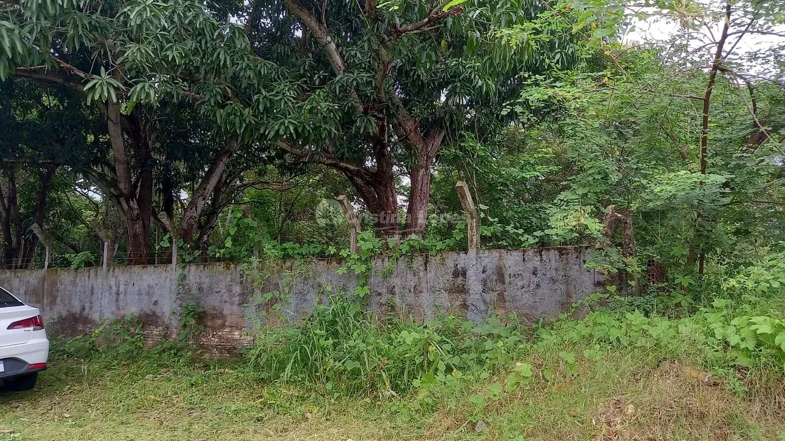 Terreno, 2800 m² - Foto 5