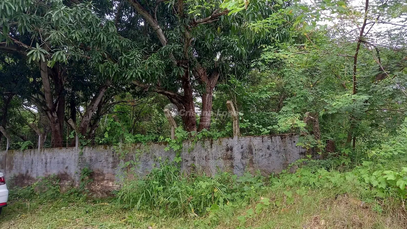Terreno, 2800 m² - Foto 2