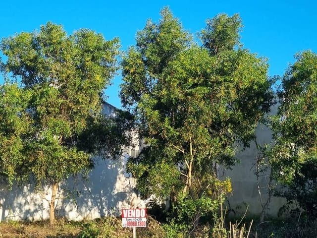 Terreno com 202m², à venda, no bairro Centro em Campos dos Goytacazes