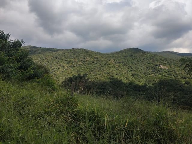 Terreno com 1450m², à venda, no bairro Pires em Extrema