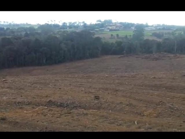 Terreno com 63000m², à venda, no bairro Jardim Conceicao em São Roque
