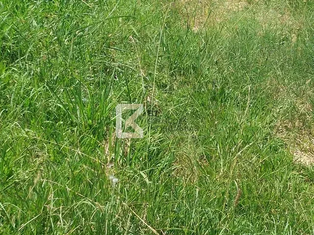 Terreno com 490m², à venda, no bairro Jardim Residencial Helvétia Park I em Indaiatuba