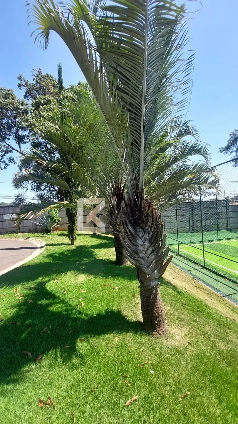 Terreno, 490 m² - Foto 14