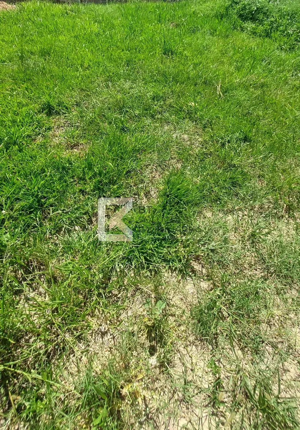 Terreno, 490 m² - Foto 3