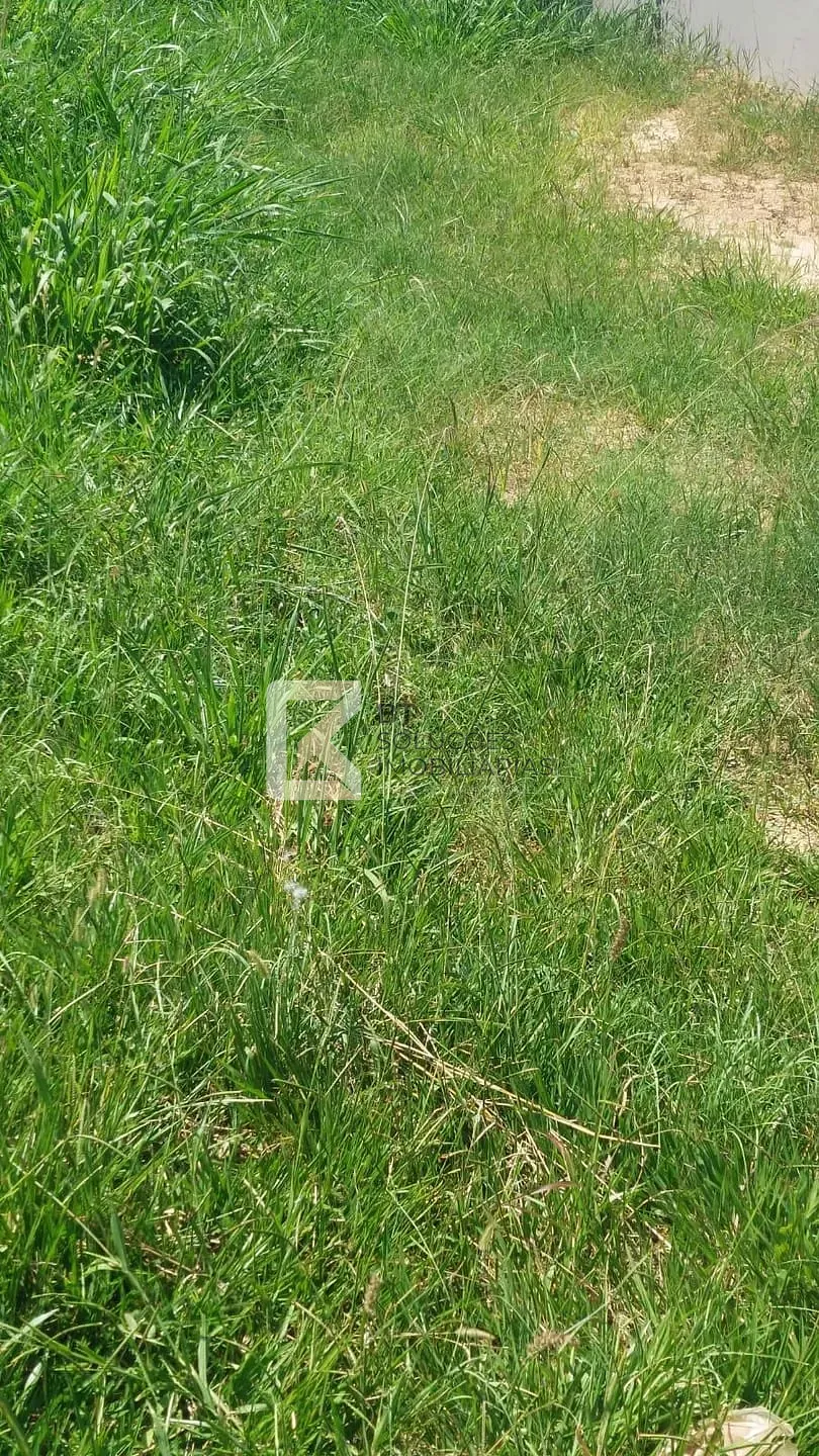 Terreno, 490 m² - Foto 4