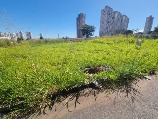 Foto do Terreno - TERRENO 420m² Á VENDA - JARDIM ATLÂNTICO  GOIÂNIA-GO | Provenda Imobiliária
