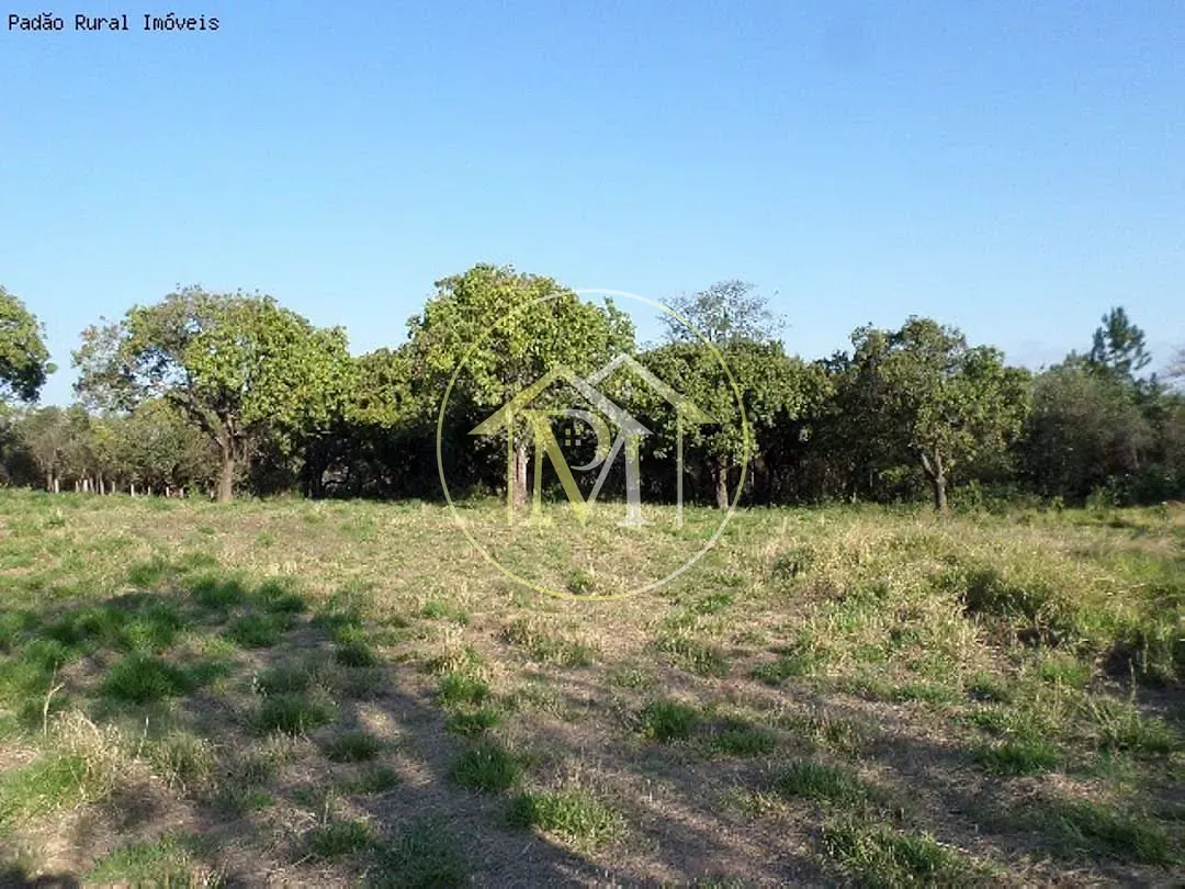 Terreno, 10 hectares - Foto 6