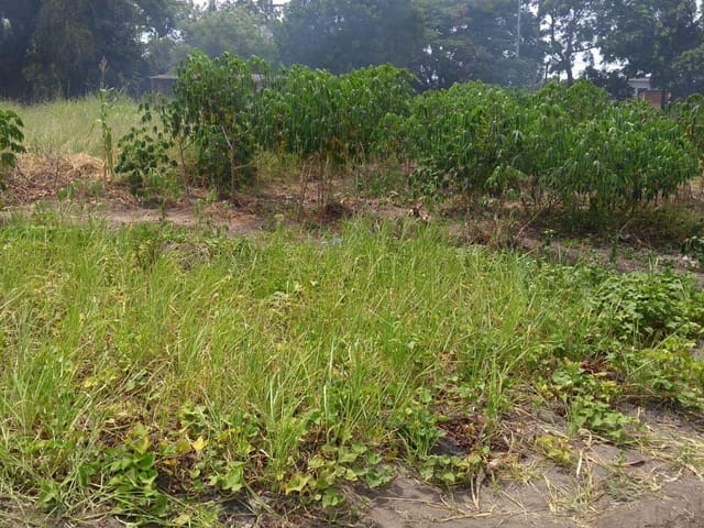 Terreno com 420m², à venda, no bairro Parque Boa Vista em Campos dos Goytacazes