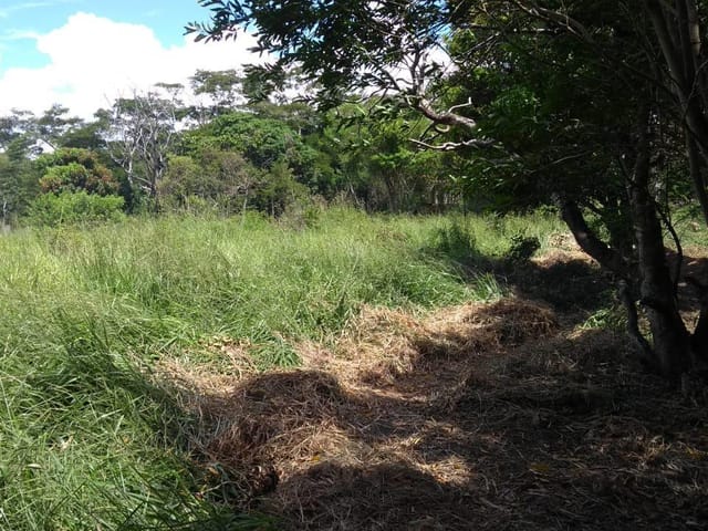 Terreno com 420m², à venda, no bairro Parque Boa Vista em Campos dos Goytacazes