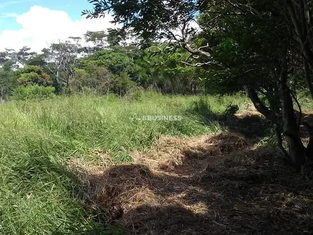 Terreno com 432m², à venda, no bairro Parque Boa Vista em Campos dos Goytacazes