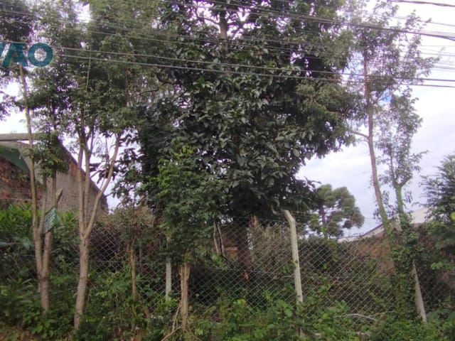 Terreno com 432m², à venda, no bairro Vista Alegre em Curitiba