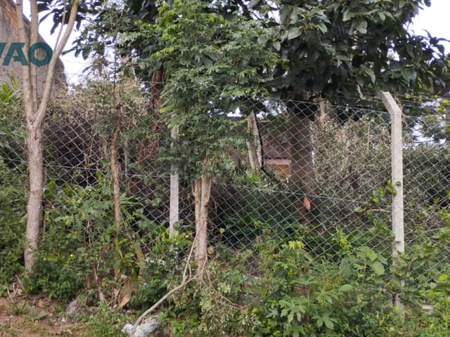 Terreno com 432m², à venda, no bairro Vista Alegre em Curitiba