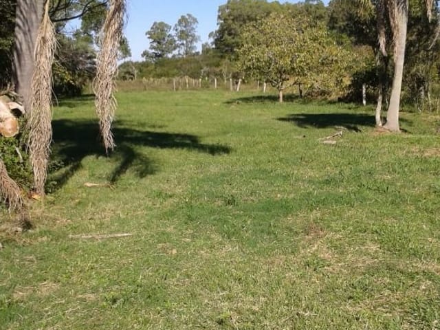 Terreno com 6000m², à venda, no bairro Três Vendas em Pelotas