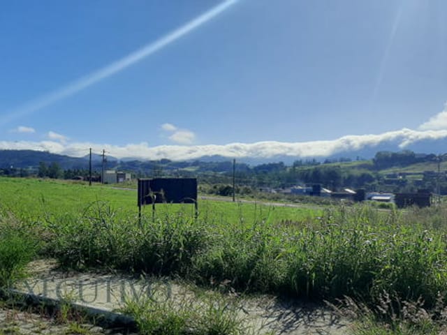 Foto do Terreno - Terreno  com  360.81m²  ,  à  venda  ,  no  Bairro  Medianeira  na  cidade  de  Arroio  do  Meio /  RS. | Executivo Imóveis