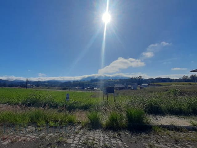 Foto do Terreno - Terreno  com  360.81m²  ,  à  venda  ,  no  Bairro  Medianeira  na  cidade  de  Arroio  do  Meio /  RS. | Executivo Imóveis