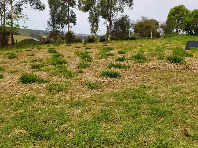 Terreno com 21000m², à venda, no bairro Trevo de Cambira em Cambira