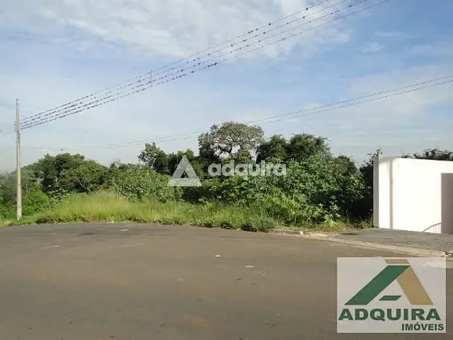Terreno com 2772m², à venda, no bairro Estrela em Ponta Grossa